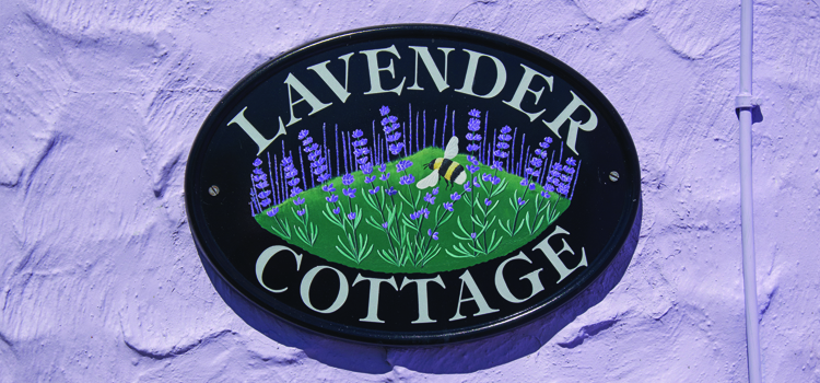 Seeking Peace and Quiet  at the Lavender Cottage