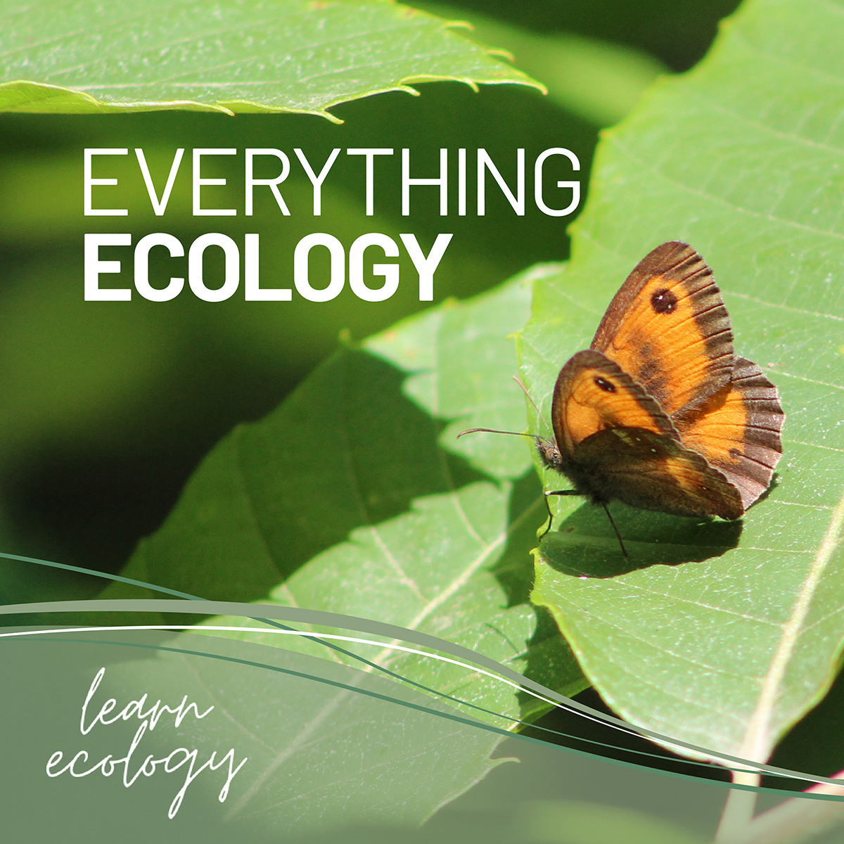 For all your ecological needs