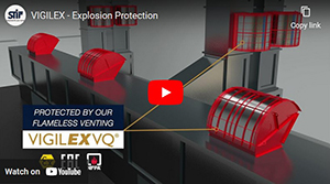 VIGILEX – Explosion Protection